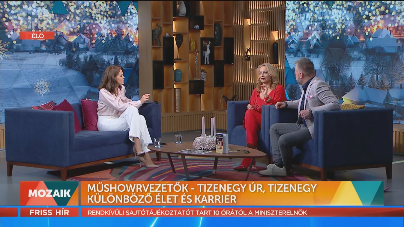 Mozaik - Műshowrvezetők