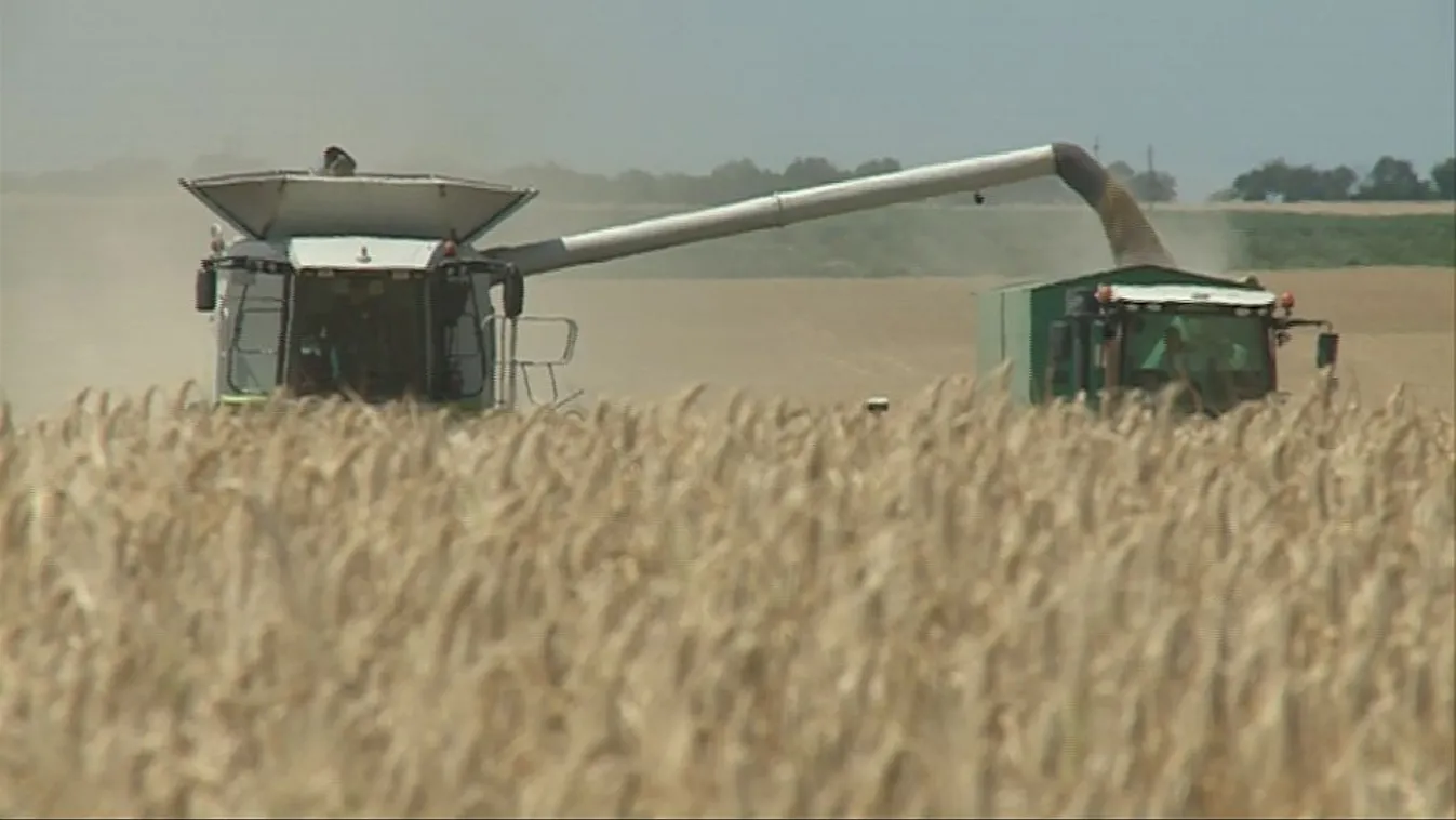 Rég nem látott gondban a növénytermesztők – Soroló