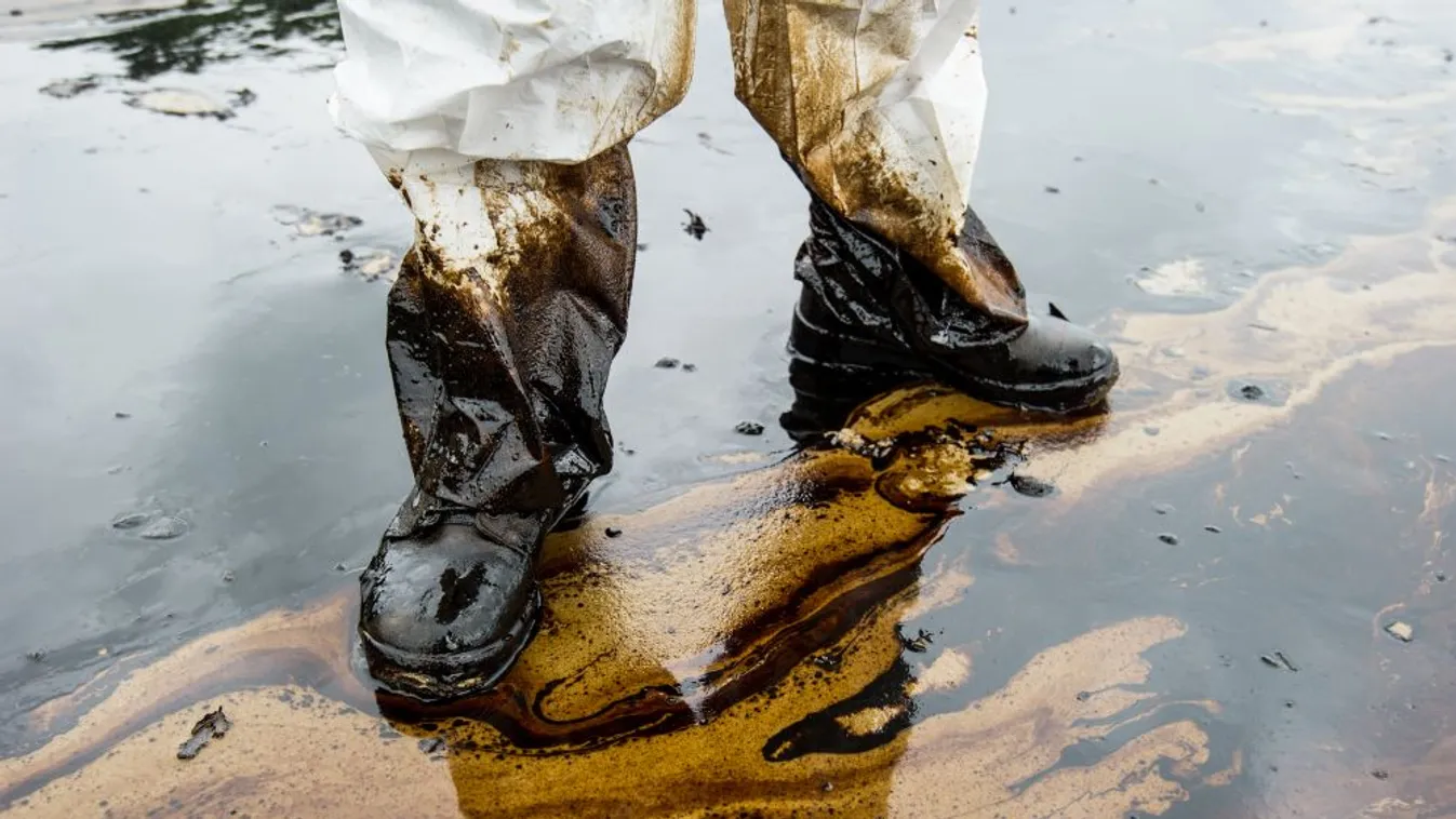 Bolsonaro: Tovább fokozódhat a Brazília partjait sújtó olajszennyeződés
