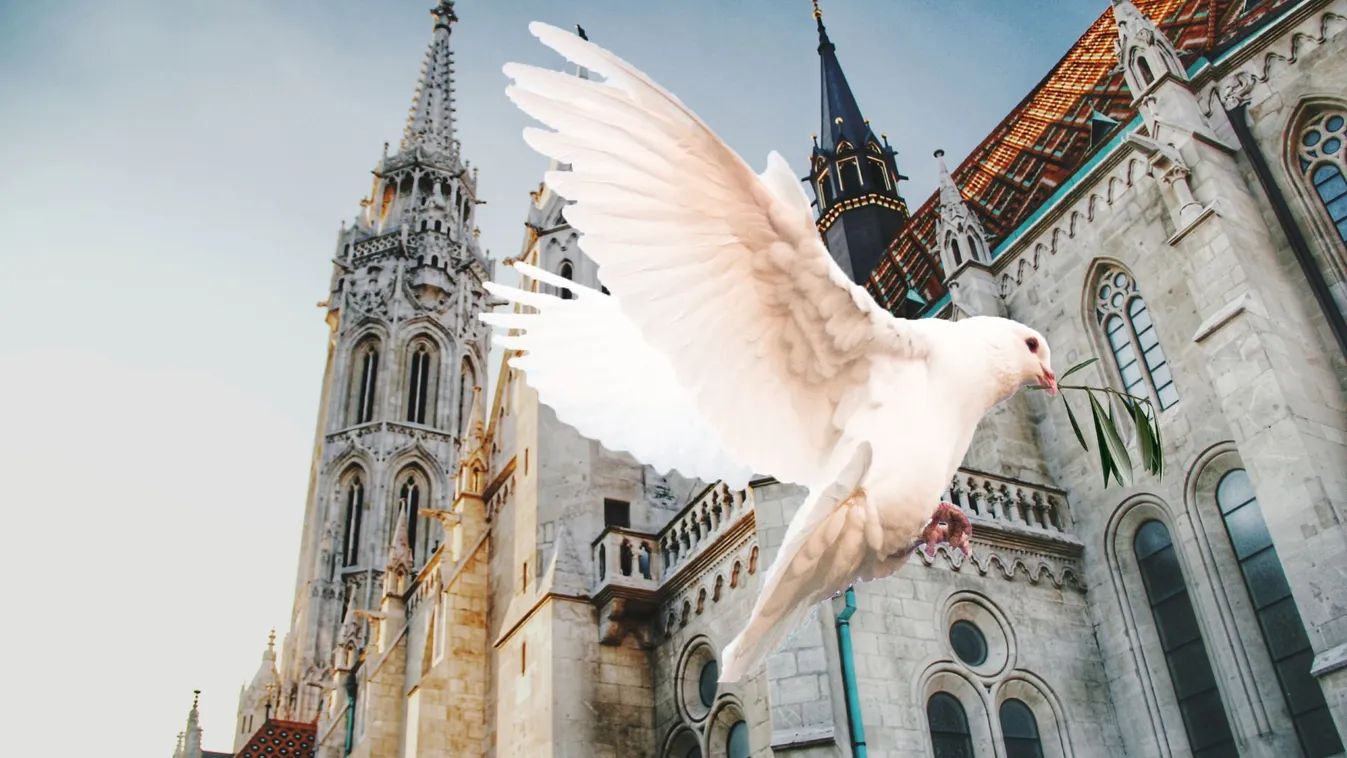 Készen állunk! – Így érett be Orbán Viktor következetes békepolitikájának gyümölcse