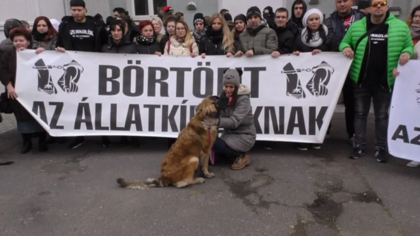 Letöltendő fogházra ítélték az állatkínzó párt