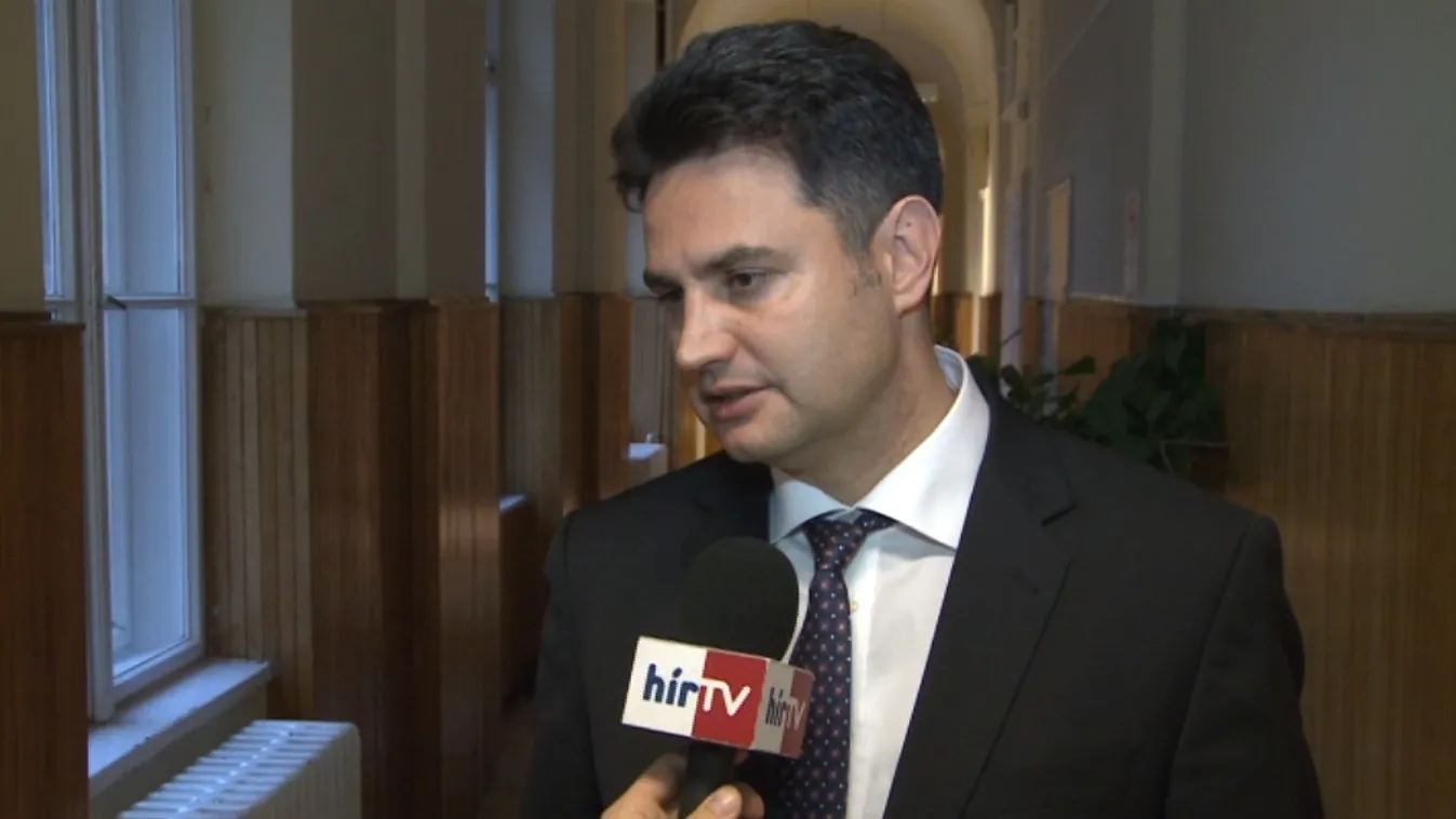 Jó hírnév megsértése és becsületsértés miatt is elmarasztalták Márki-Zayt