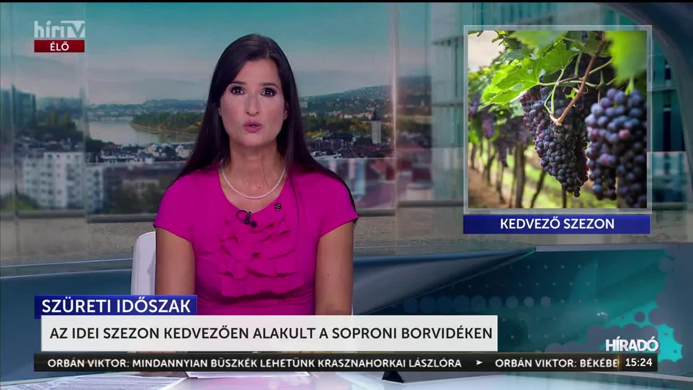 AZ IDEI SZEZON KEDVEZŐEN ALAKULT A SOPRONI BORVIDÉKEN