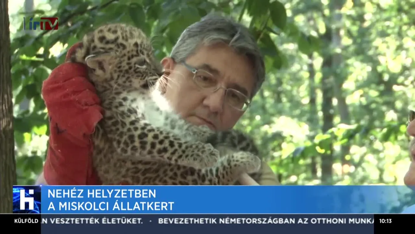 Nehéz helyzetben a Miskolci Állatkert