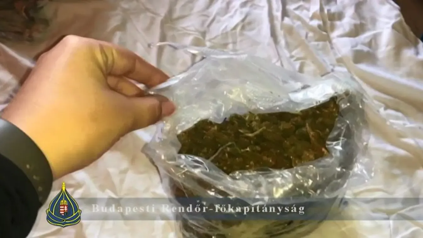 Lakásellenőrzés során csaptak le a dílerre