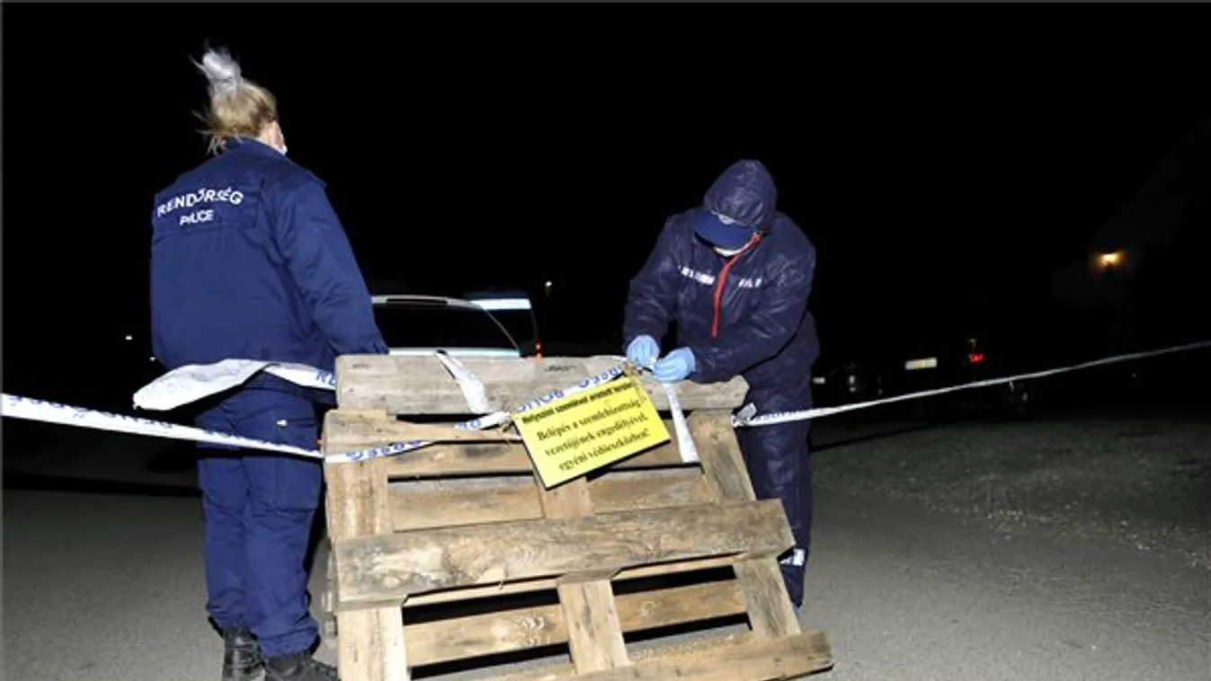 Gyilkosság miatt nyomoznak a Szentendrén talált emberi csontok ügyében