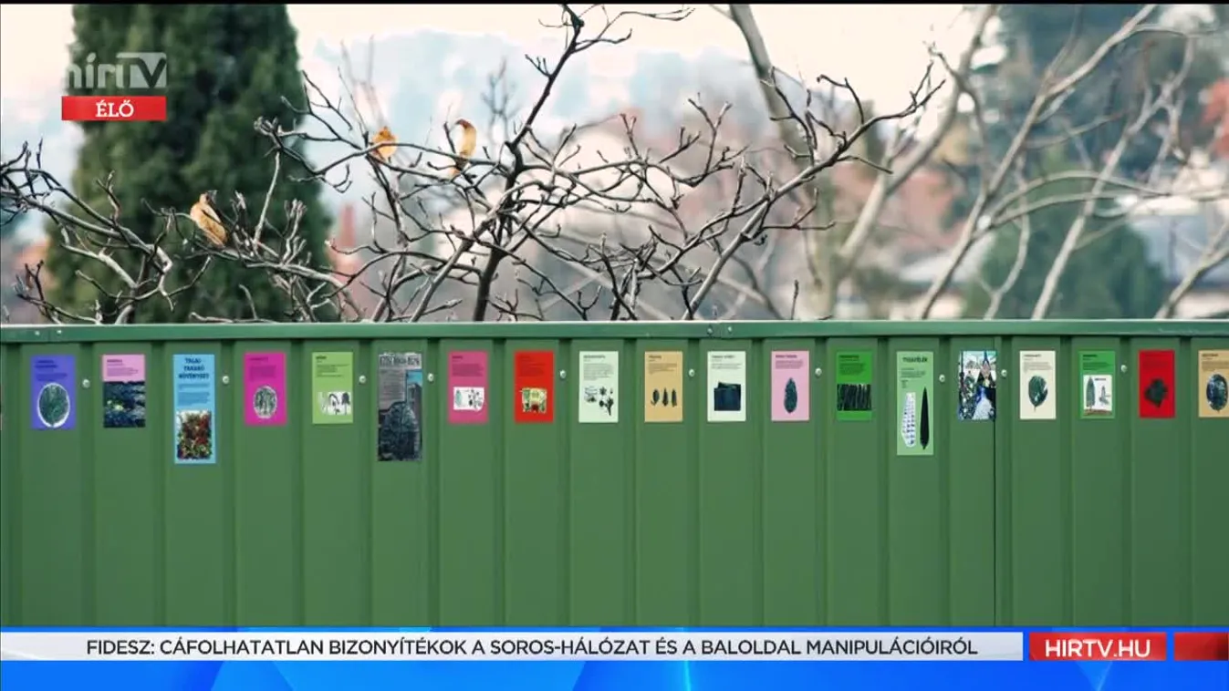 Mozaik - Különleges kerítés