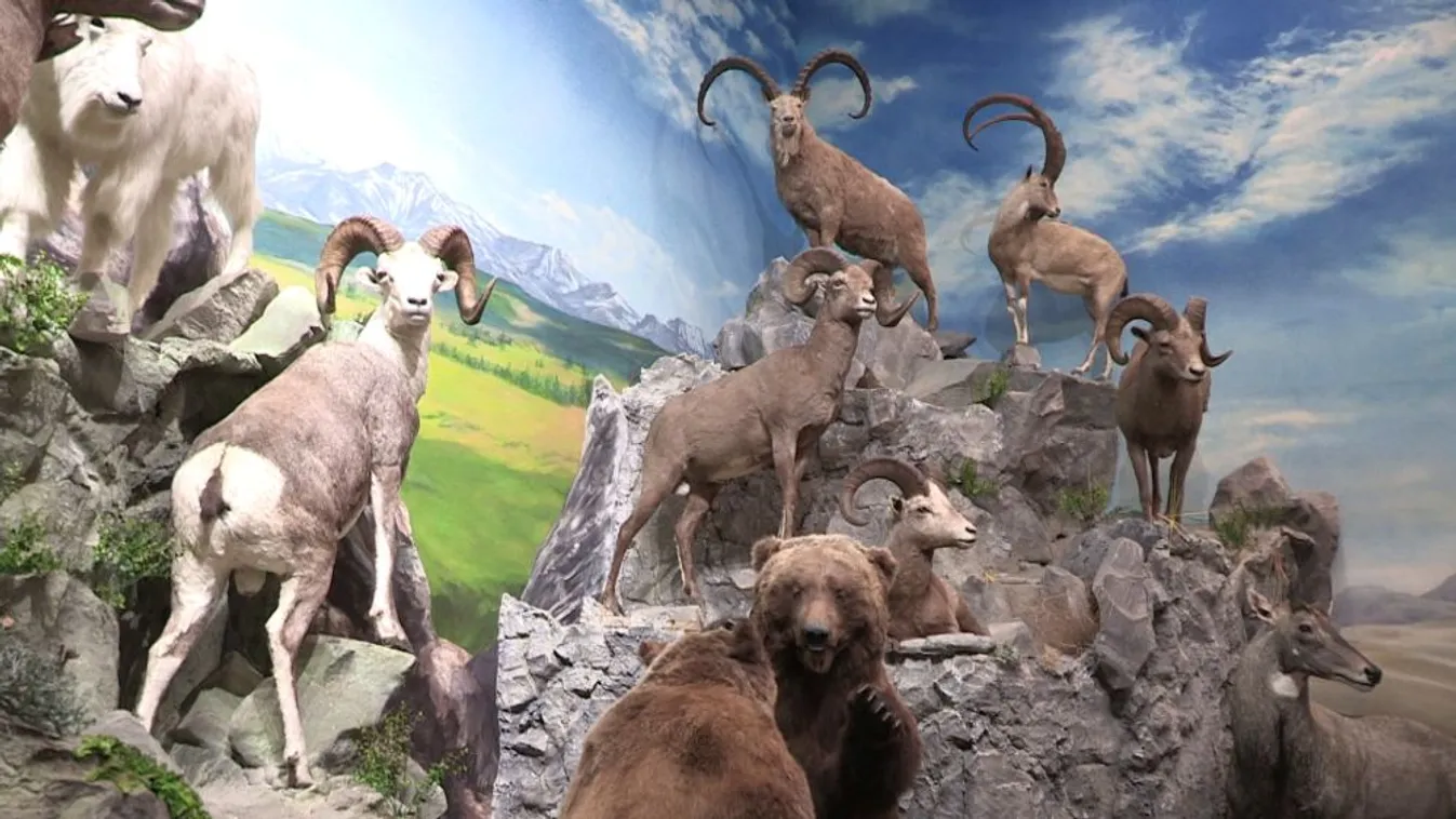 Egy hónap múlva kezdődik a budapesti vadászati világkiállítás