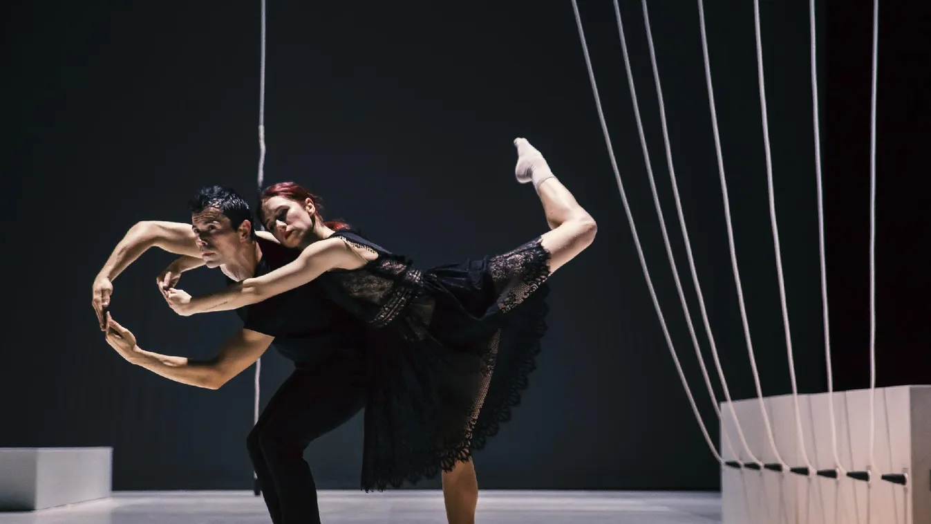 Augusztusban jön a Horizont Nemzetközi Kortárstánc Fesztivál!