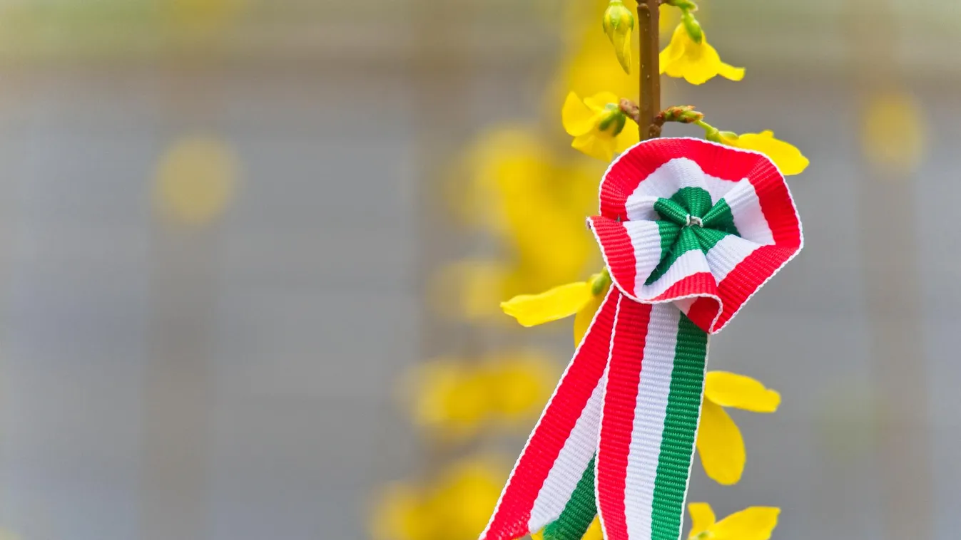 Az amerikai fővárosban is megünnepelték az 1848-as forradalom kitörését