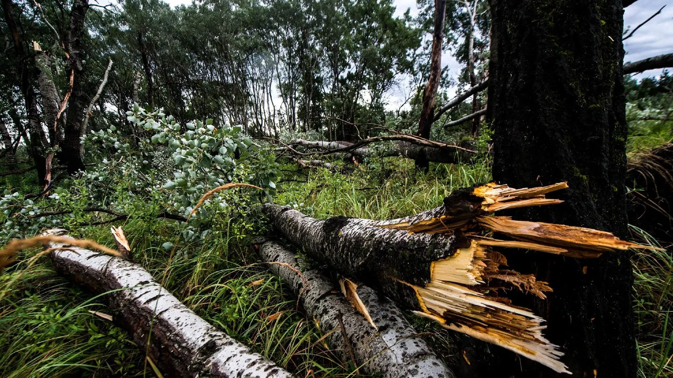 281 esetben volt szükség a tűzoltók munkájára