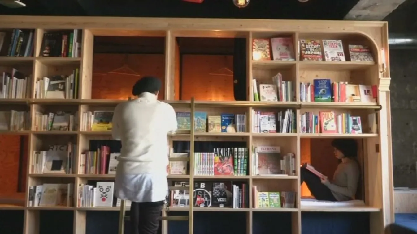 Könyvtárhotel – Felfedező