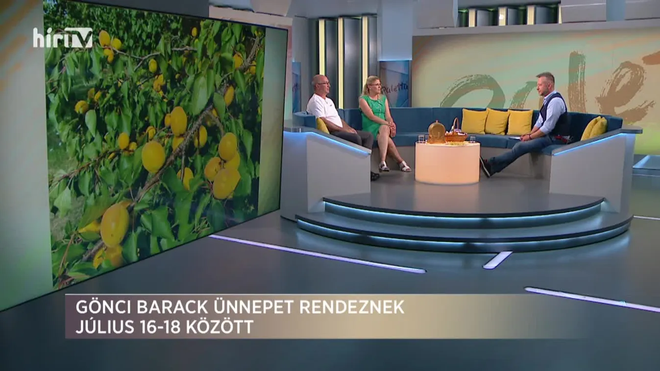 Paletta: Gönci Barack Ünnep