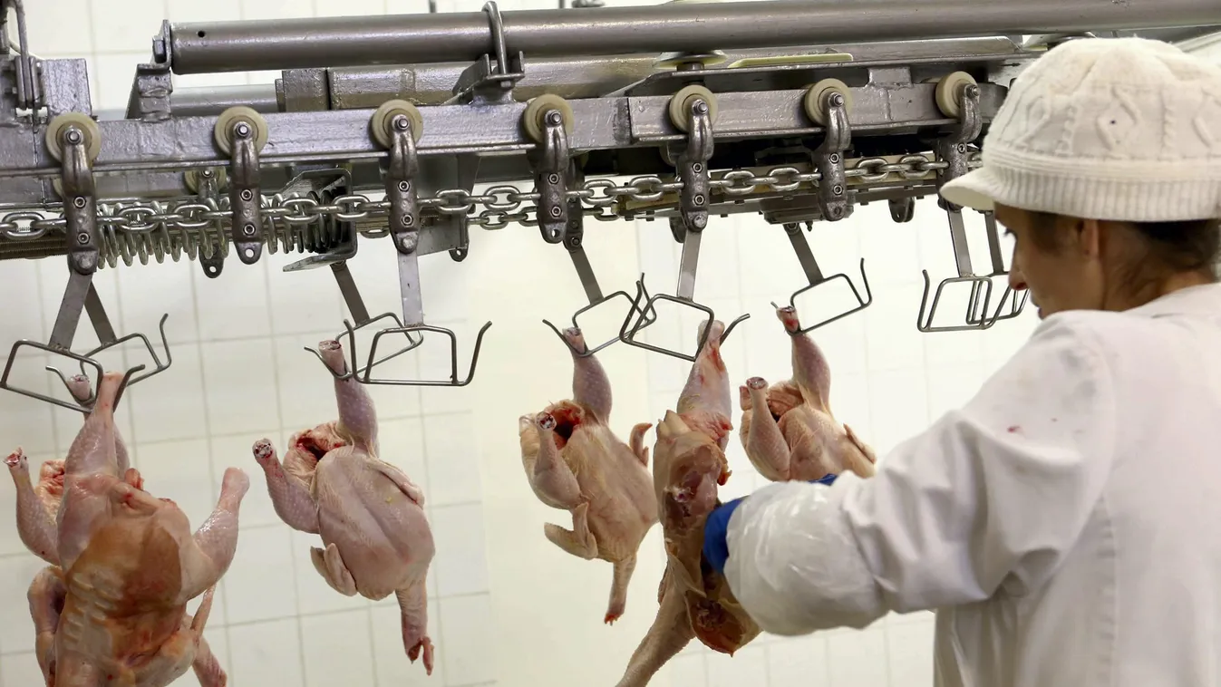Gyanúsan olcsó, vegyszerezett csirkemáj érkezik Brazíliából