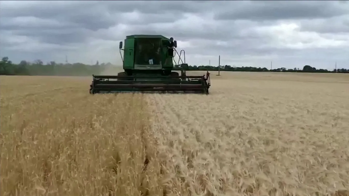 Bár Brüsszel tiltakozik, importtilalmat kellett több uniós tagországnak is bevezetnie