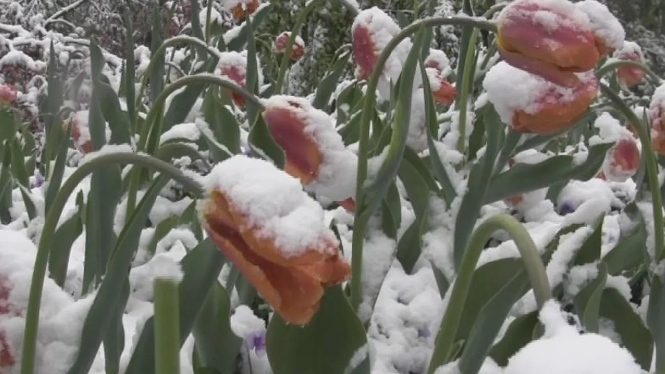Ellep az áprilisi hó, van, ahol már 10 centiméter esett