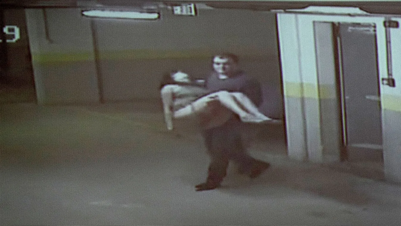 A bizonyíték, amely lebuktatta VV Fanni gyilkosát