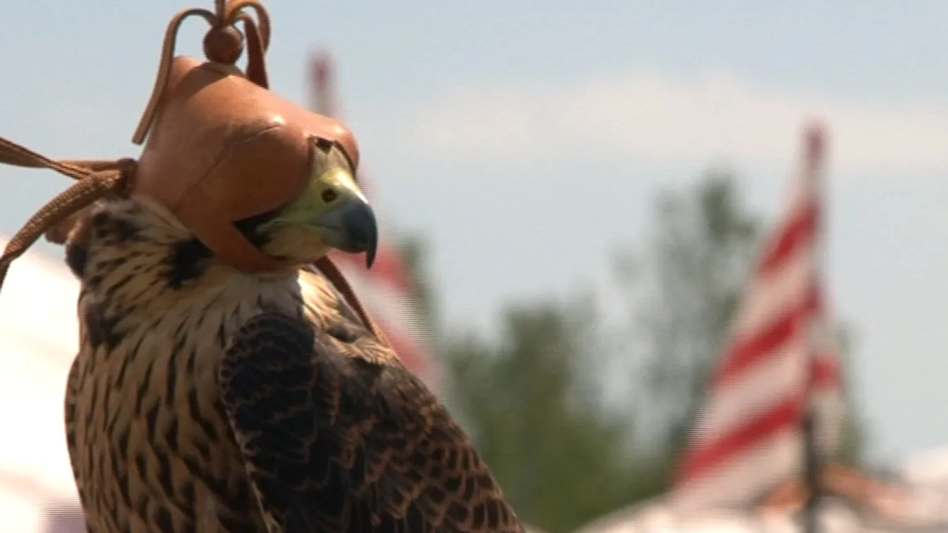 Hagyományőrző találkozó Bugacpusztán