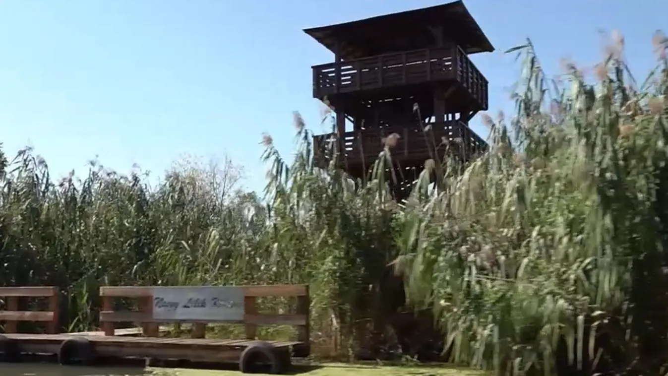 Napindító - Nagy Lilik - mesebeli kilátó a Tisza-tavon