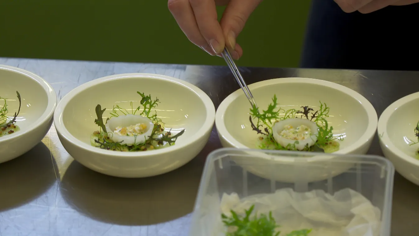 Radar - Újra elkészültek a világsikerű fogások