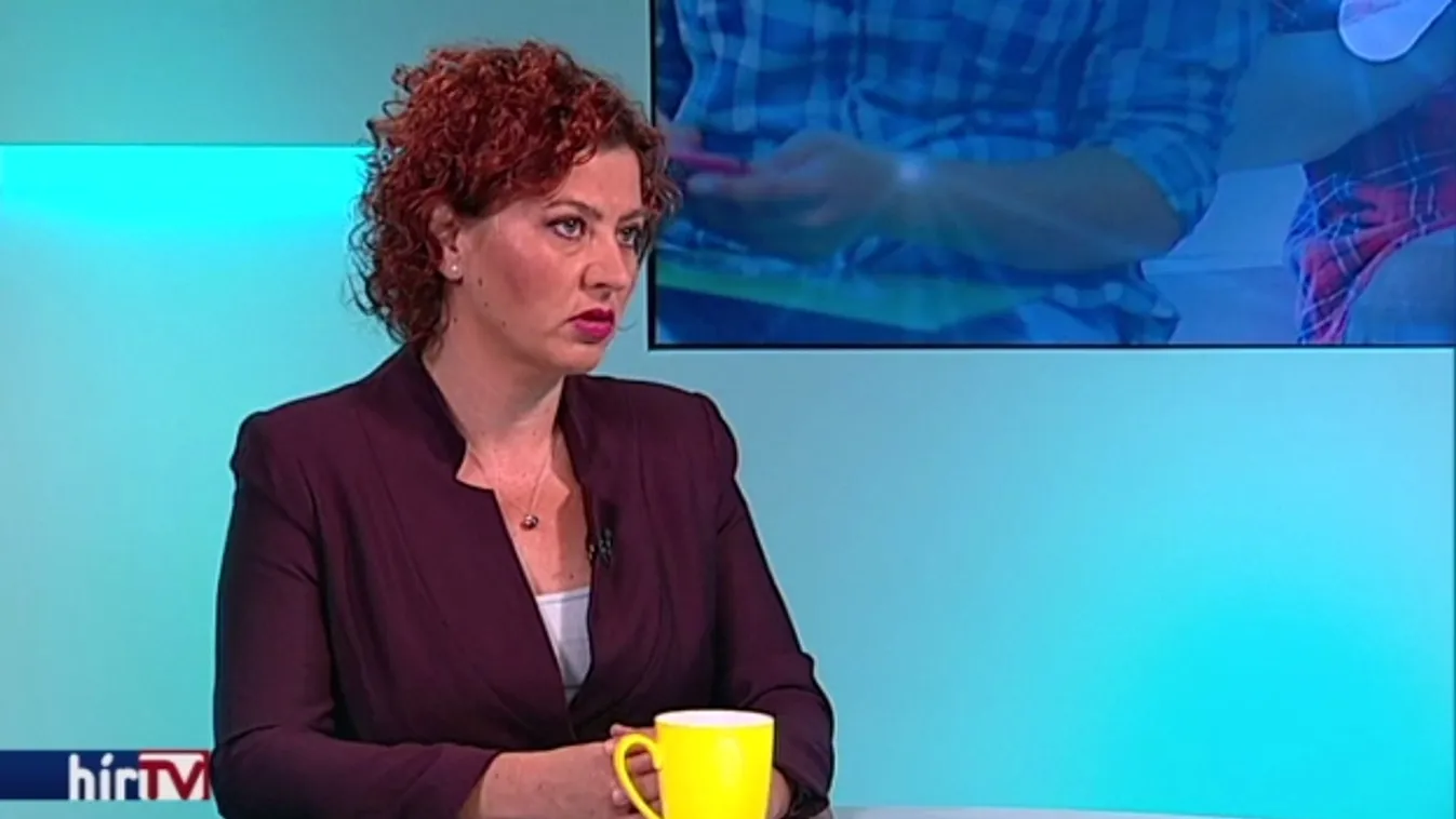 Vadai úgy érzi, néhány fideszes képviselő meghibbant