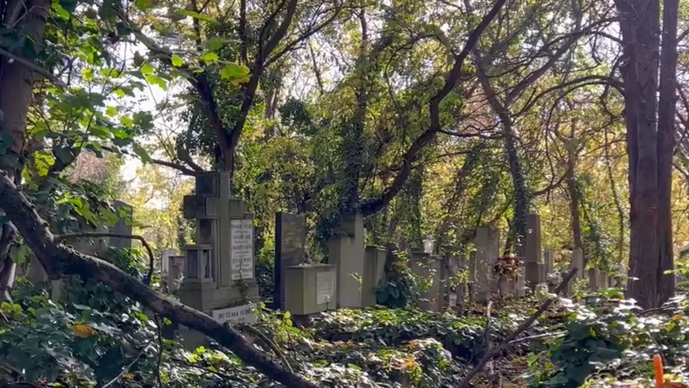 Bocsánatot kért a temetőkben uralkodó áldatlan állapotok miatt Karácsony helyettese