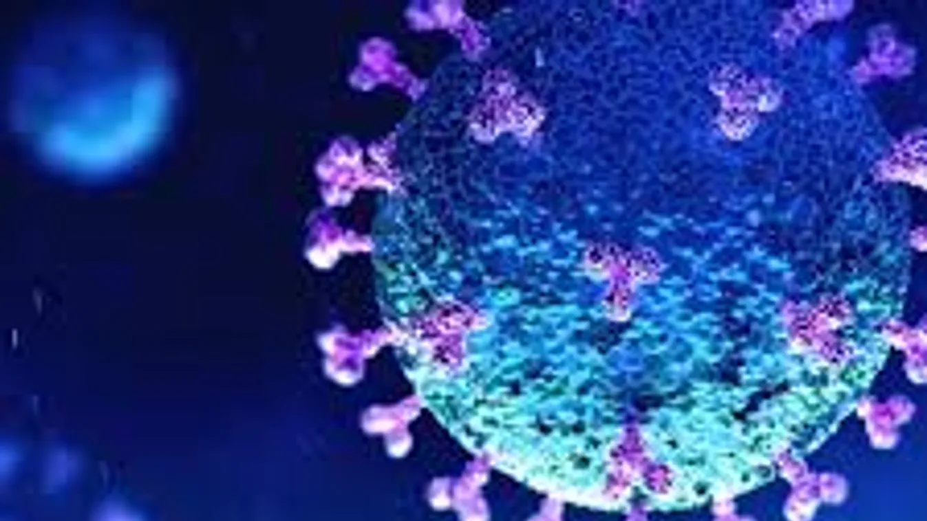 Németország újabb magyarországi megyéket minősített kockázatos területnek