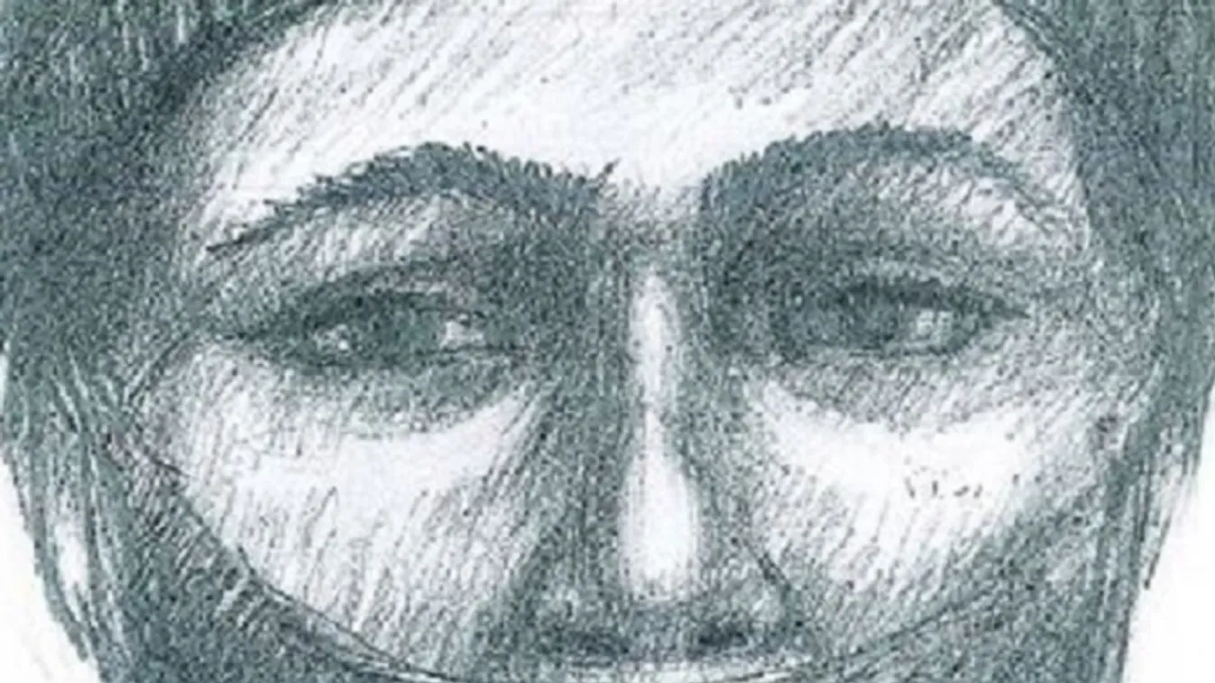 Hajtóvadászat a gödöllői HÉV-en történt támadás elkövetője után + grafika