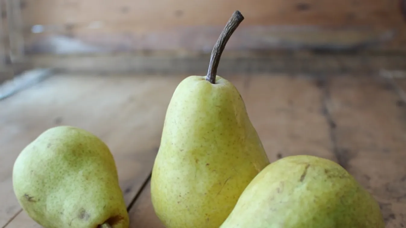 Varrótűt találtak egy körtében