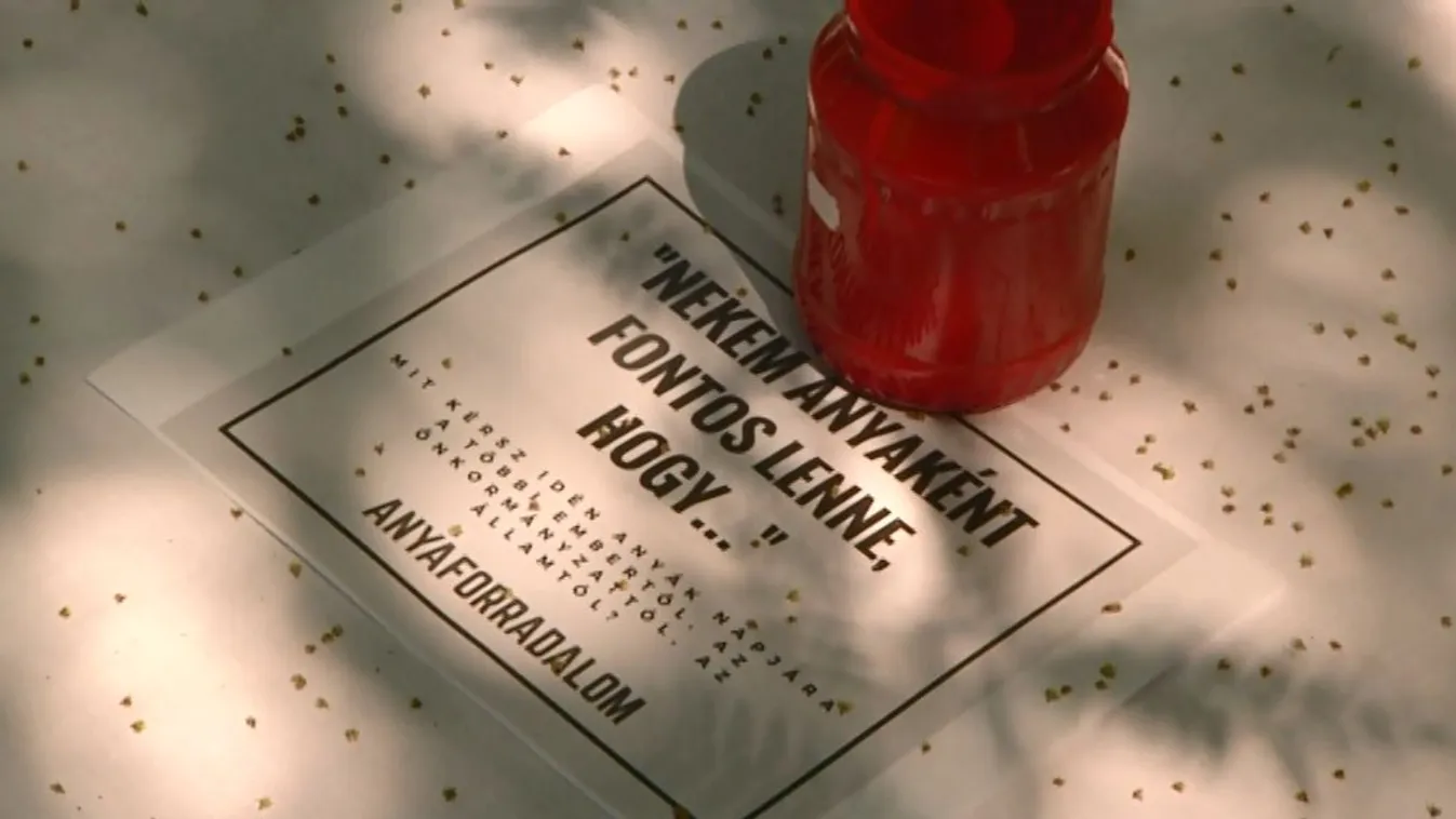 Anyaforradalom: az anyák hátrányos helyzetére hívták fel a figyelmet