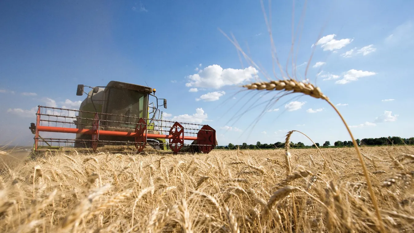 Nem tudnak gabonát szállítani az alacsony vízállás miatt