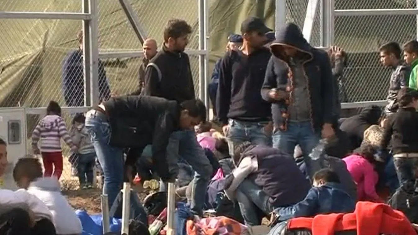 Az igazságügyi bizottság elé viszik a Migration Aid párttá alakulásának ügyét