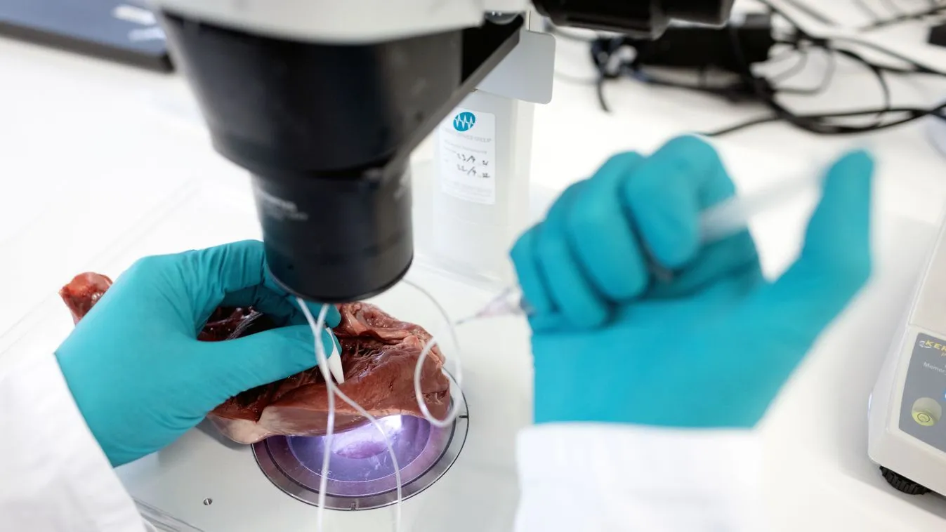 Valóban olyan csodás az Ozempic?