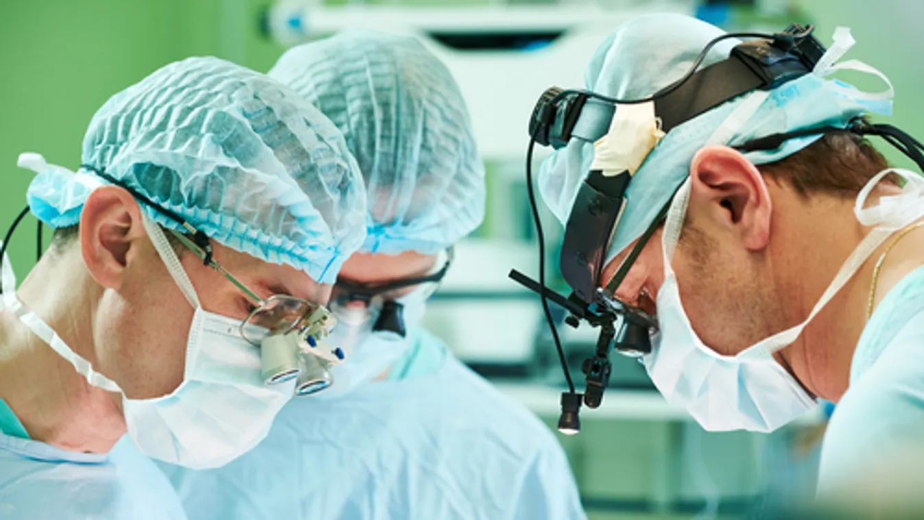 A világon elsőként kapott májőssejteket egy újszülött Japánban