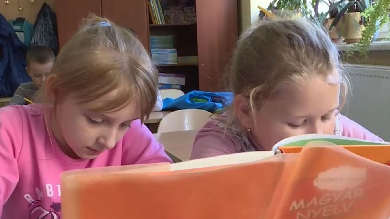 Megszavazták az ukrán kisebbségi törvény módosítását + videó