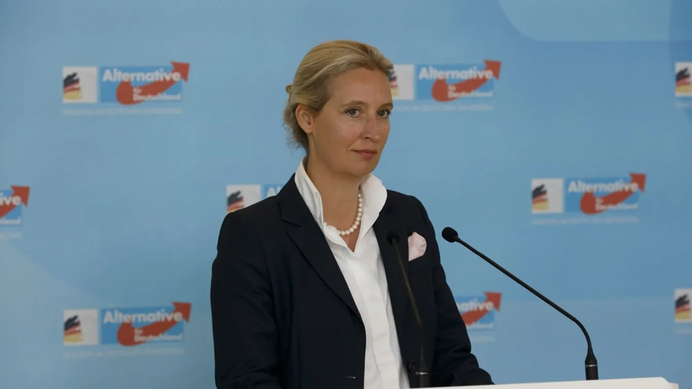 Utolérte a Merz vezette kormánykoalíció pártjait az AfD