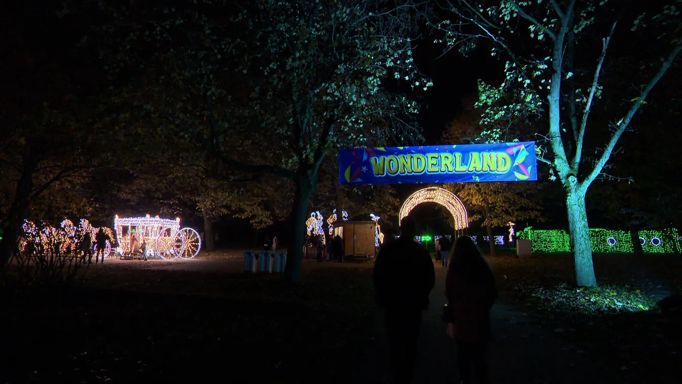 Radar - Fényből épült kiállítás