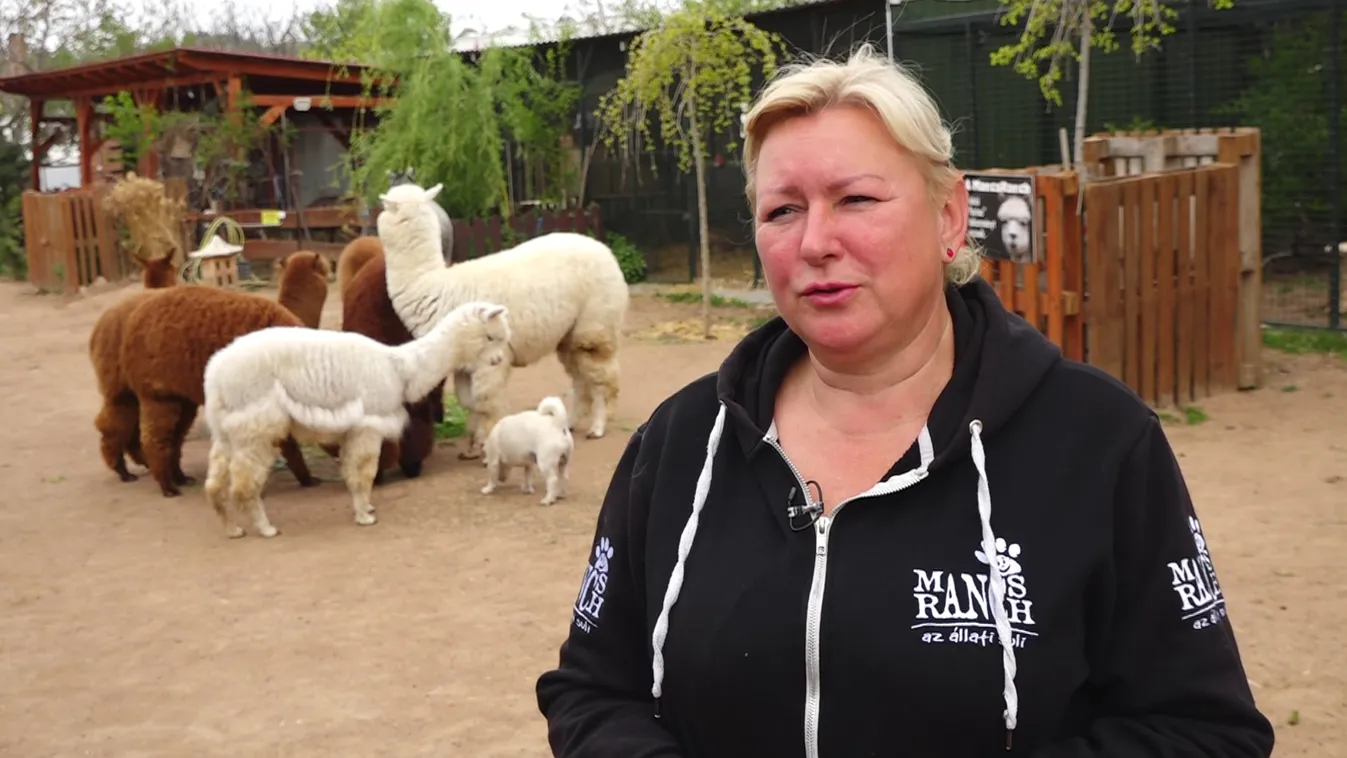 Radar - Állatkert kicsit másképp