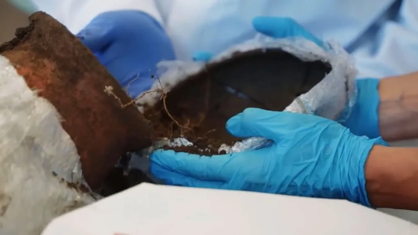 Radar – Világszenzáció: háromezer éves arany nyakéket találtak a régészek a Somló-hegyen + videó