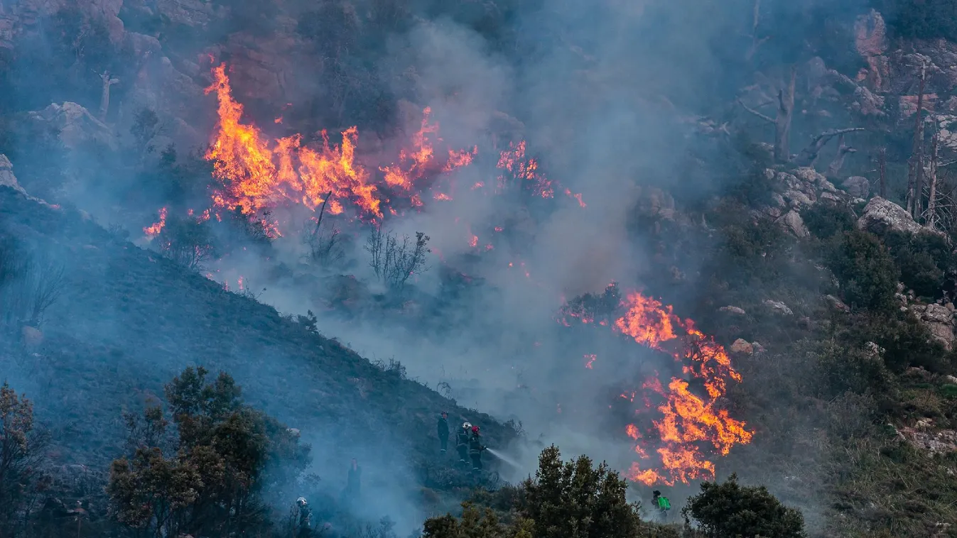 Sok halálos áldozata van az erdőtüzeknek Algériában