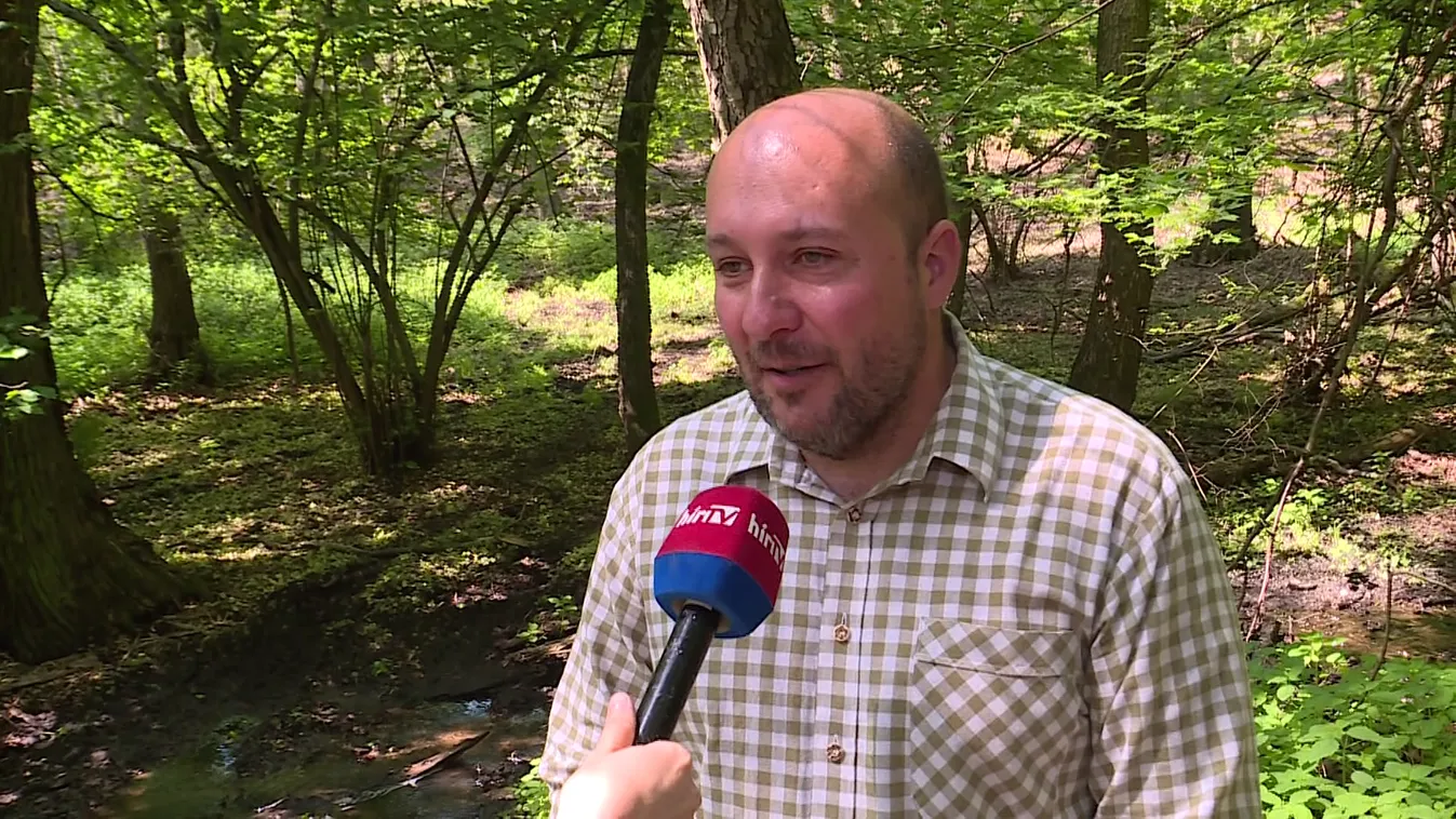 Napindító - Az erdőkben quadozni és motorozni is tilos