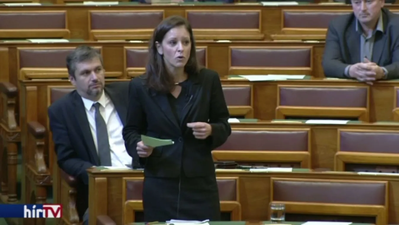 „A Fidesz folytatta, amit a szocialisták elkezdtek”