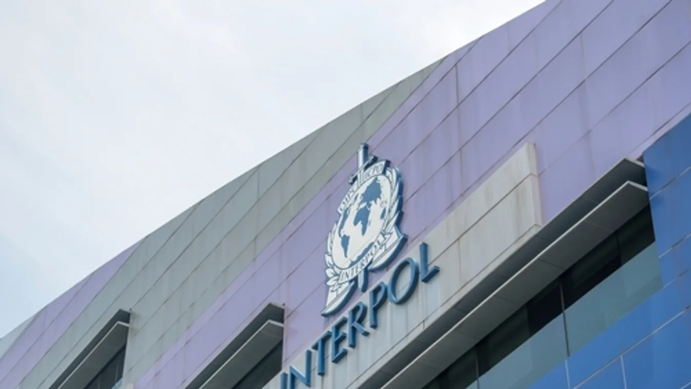 A nyilvánosság segítségét kéri kihűlt esetek megoldásában az Interpol