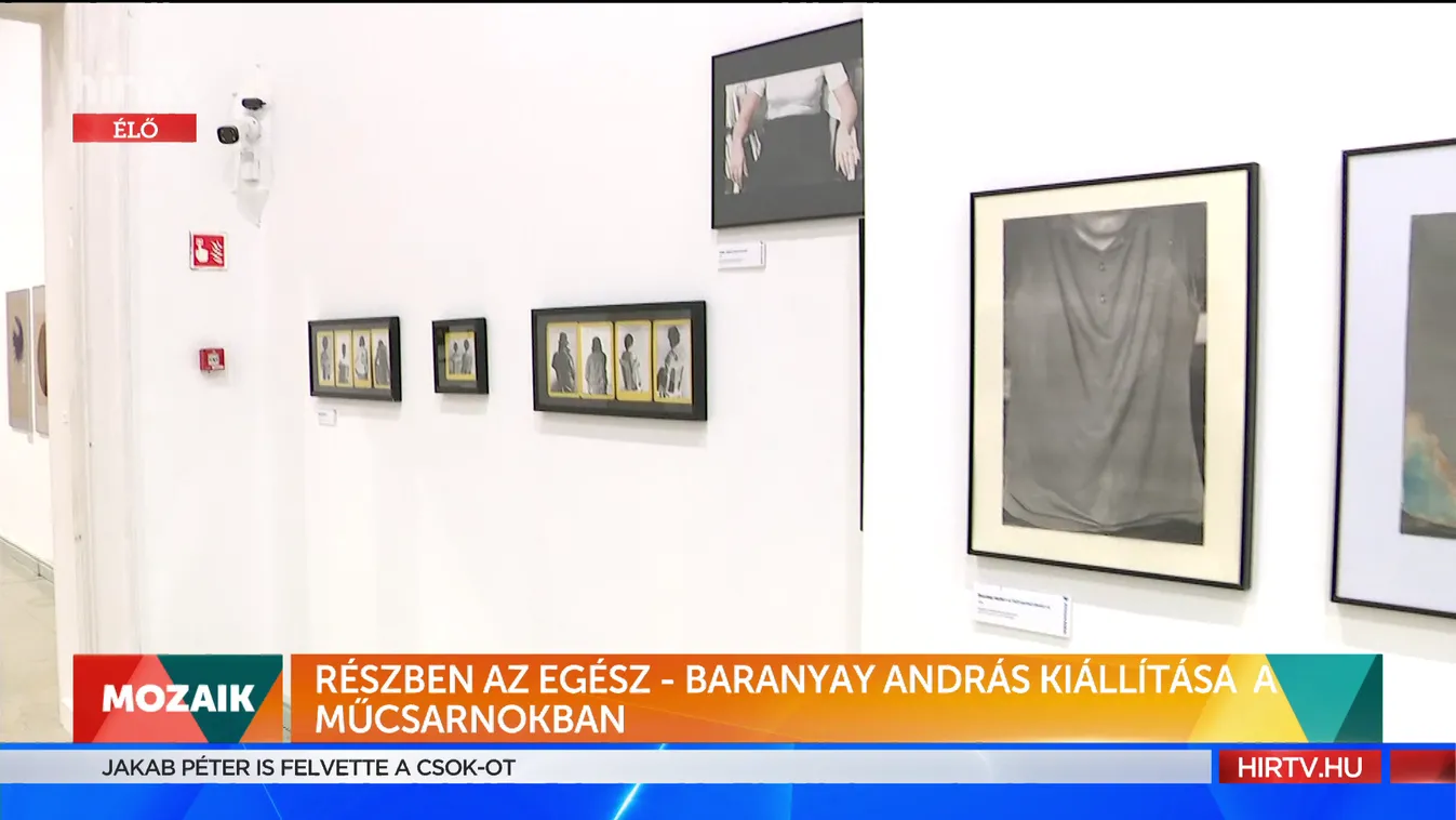 Mozaik: Baranyay András kiállítása a Műcsarnokban