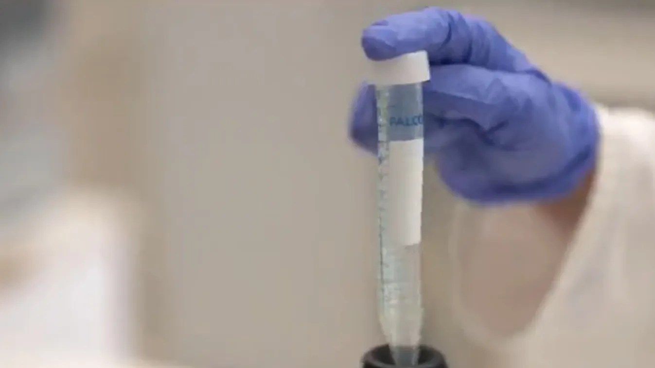 Radar – Gyakorlati eredmények várhatóak a magyar rákgyógyításban + videó