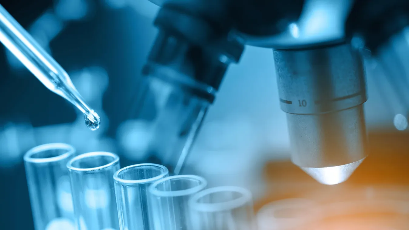 A bélflóra és a daganatos betegségek kialakulásának kapcsolatát vizsgálják szegedi kutatók