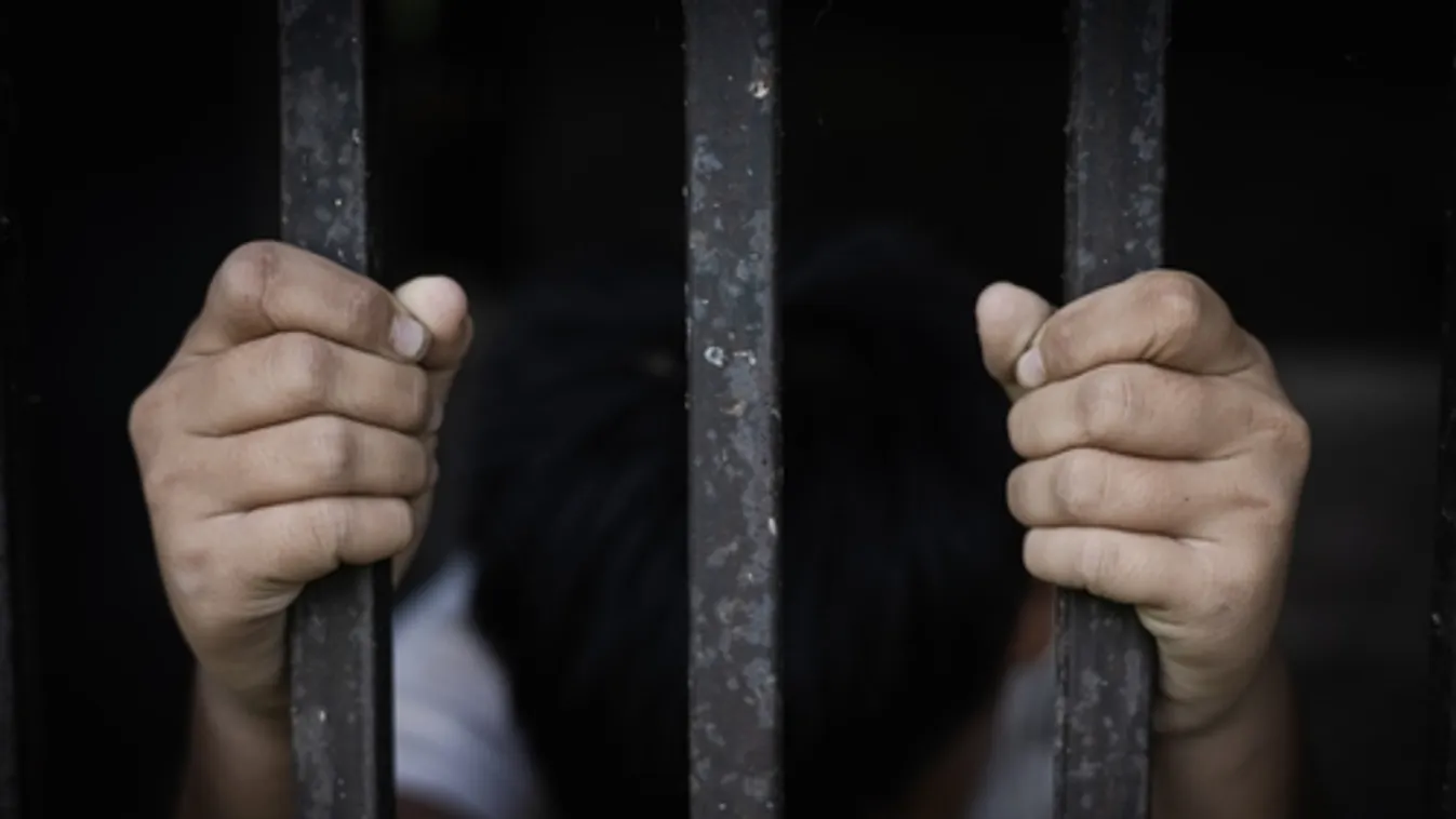 KR NNI: egy holland üvegházban fogtak el egy, a körözési toplistán szereplő magyar nőt