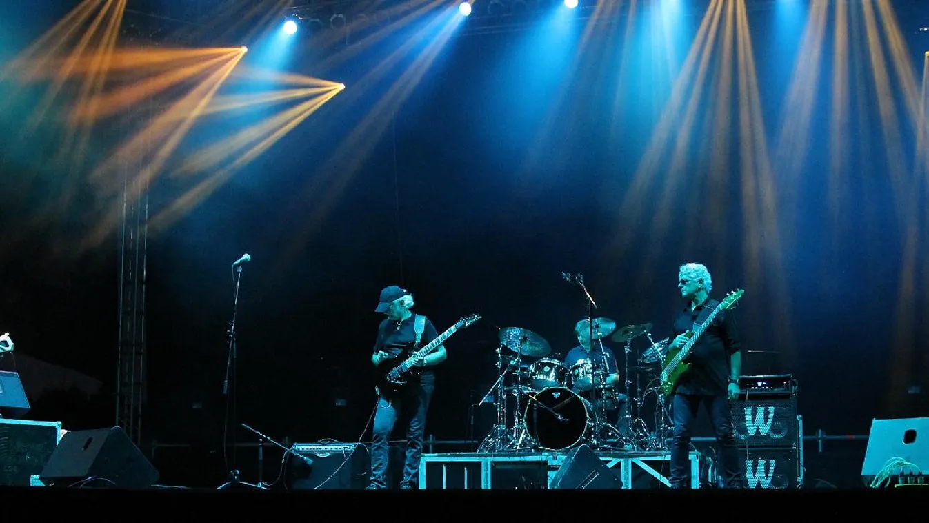 Idén 40 éves a korál – Paletta