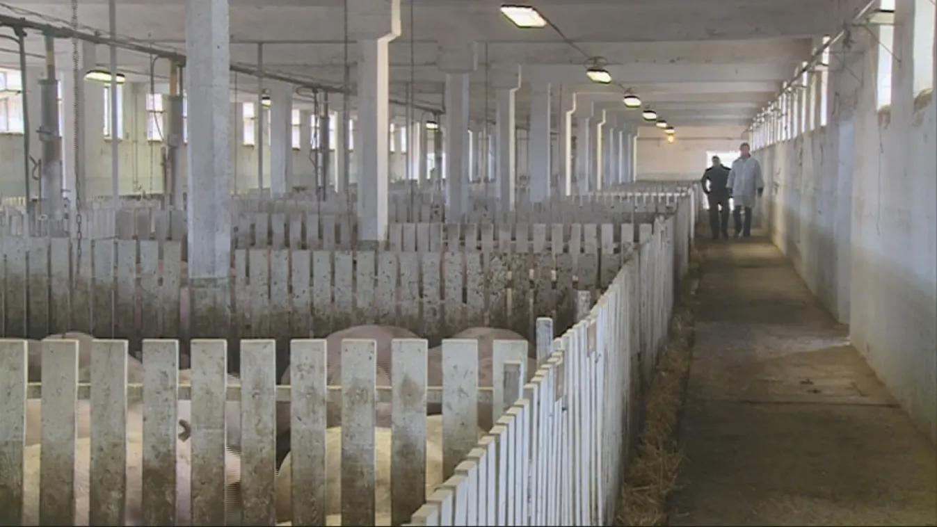 Elégedetlenek – Soroló