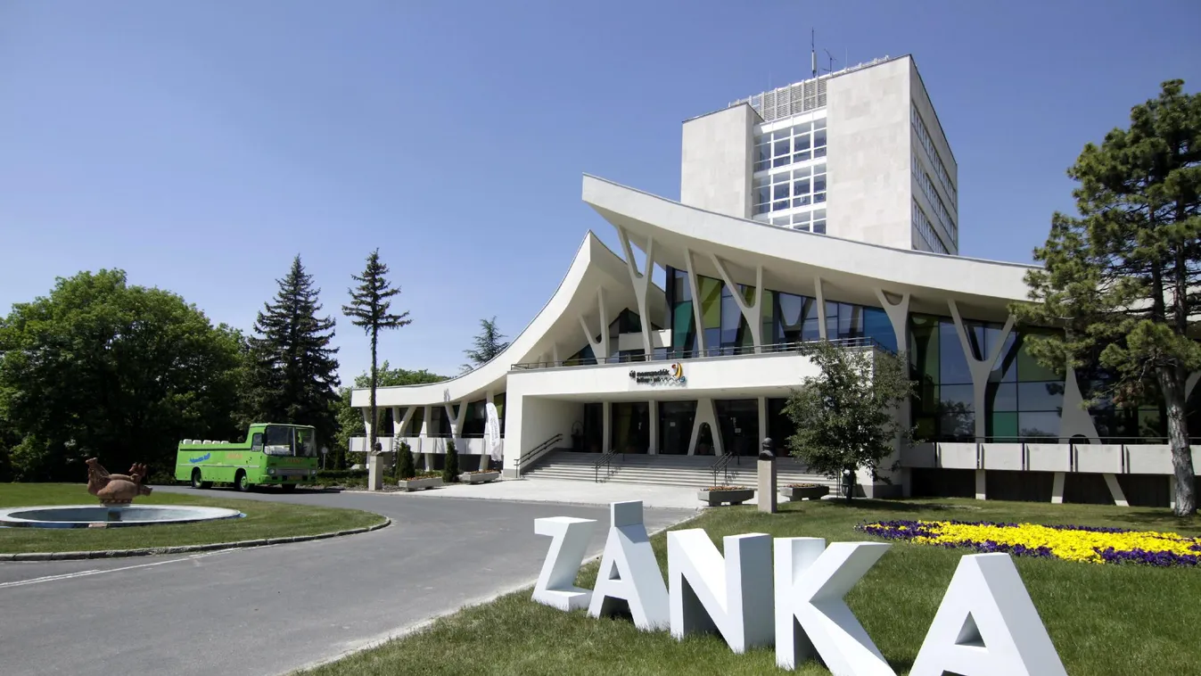 Elkezdődtek az idei Erzsébet-táborok